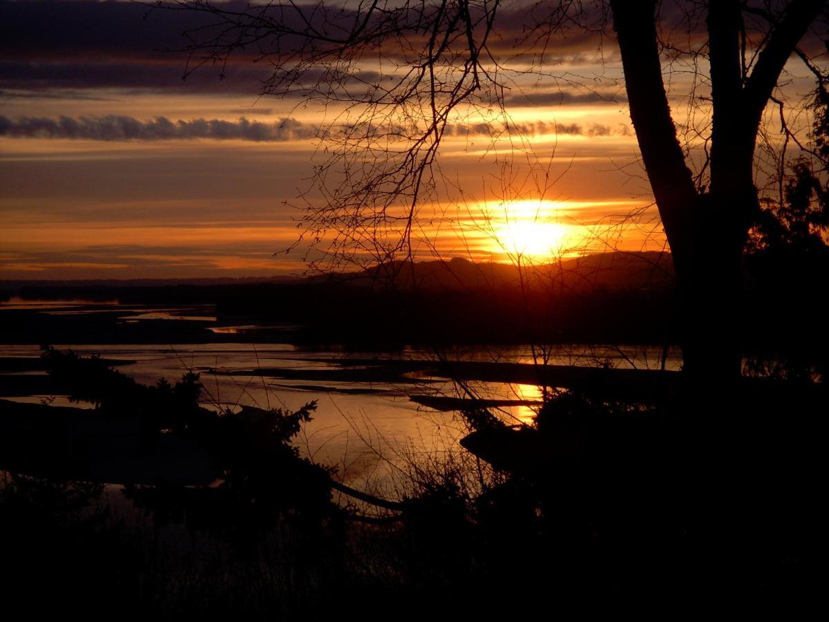 The Fraser River'S Edge B&B Lodge 칠리왝 외부 사진